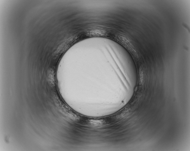 X0000099940457200806131429