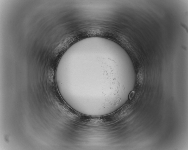 X0000099940458200806131429