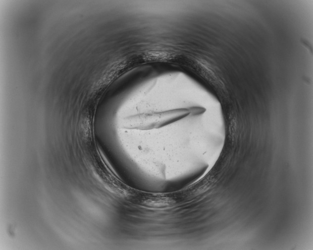 X0000099940459200806131429