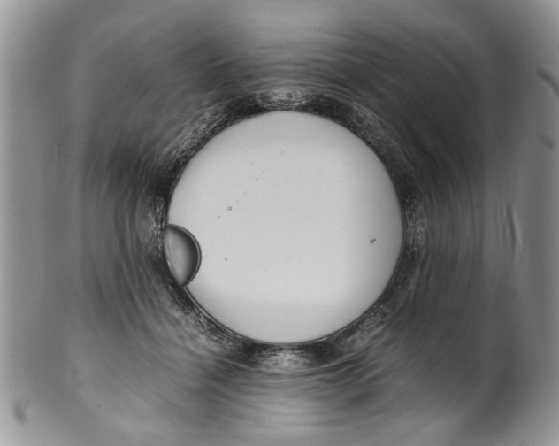 X0000099940460200806131429