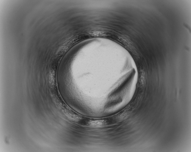 X0000099940461200806131429