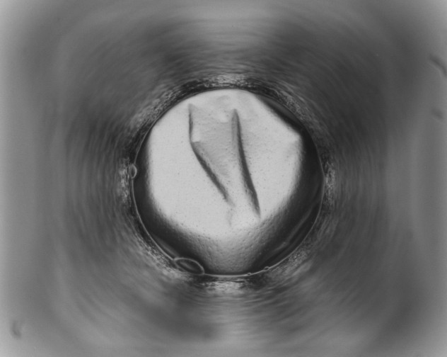 X0000099940462200806131429