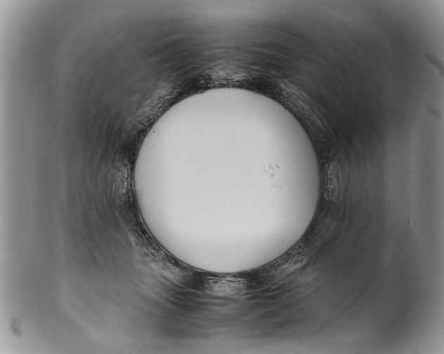 X0000099940463200806131429