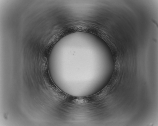 X0000099940464200806131429