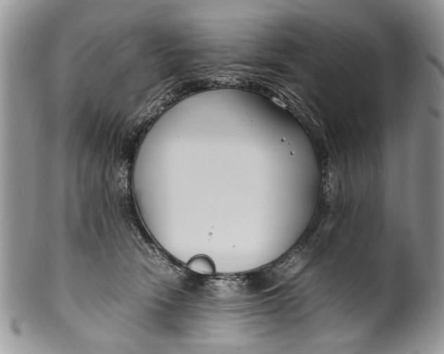 X0000099940466200806131429