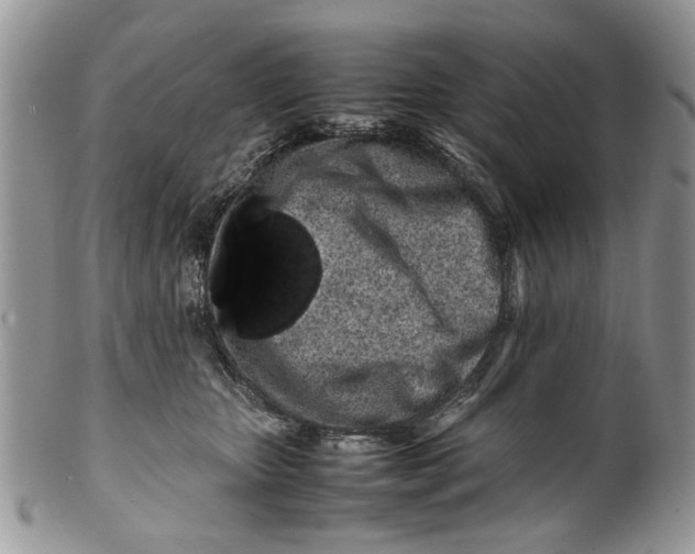 X0000099940467200806131429