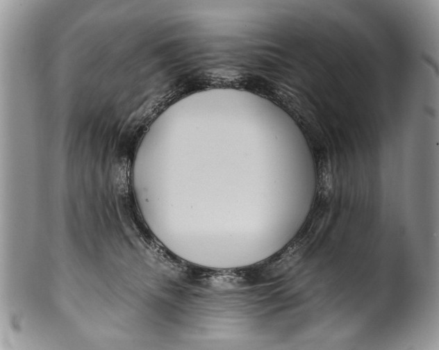 X0000099940468200806131429