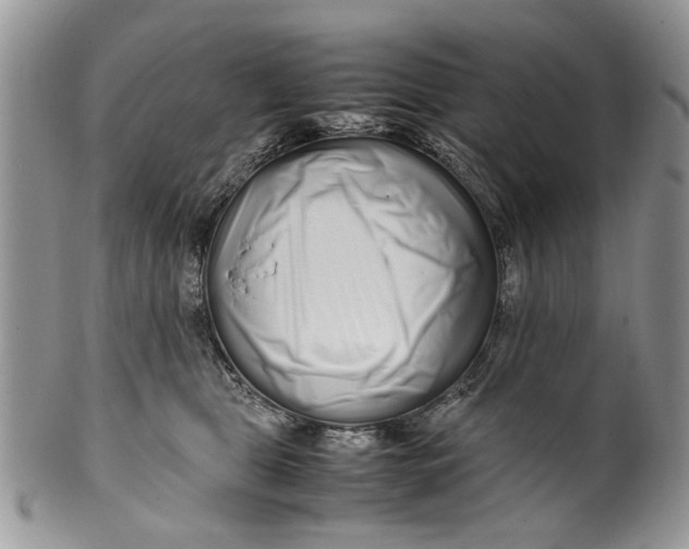 X0000099940469200806131429