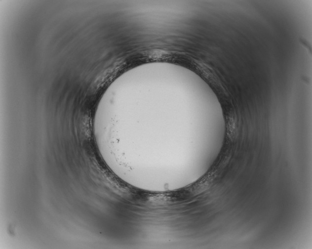 X0000099940470200806131429