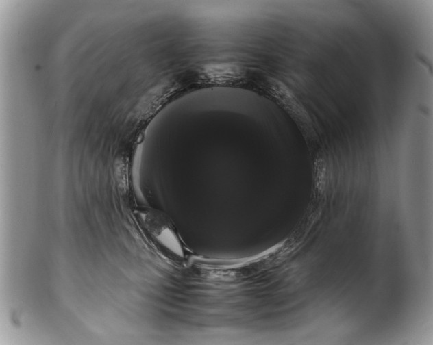 X0000099940471200806131429