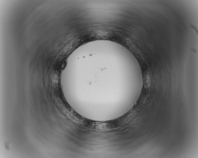 X0000099940472200806131429