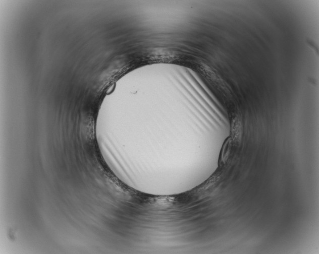 X0000099940474200806131429