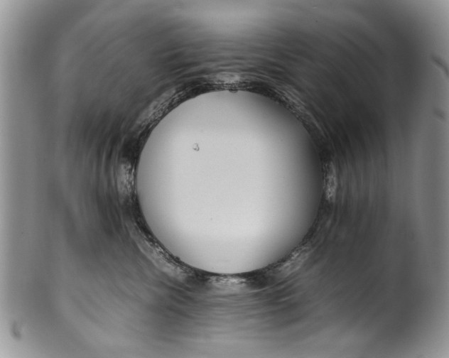 X0000099940476200806131429