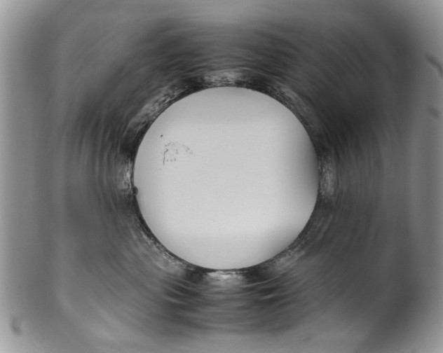 X0000099940477200806131429