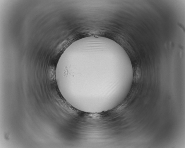 X0000099940478200806131429