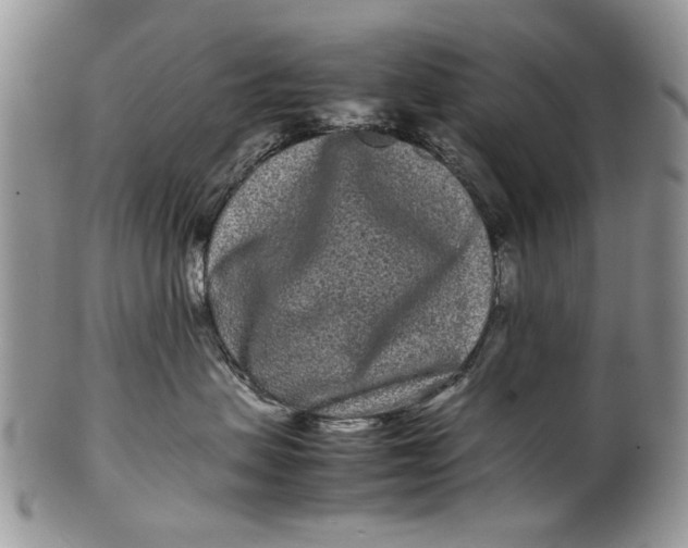 X0000099940479200806131429