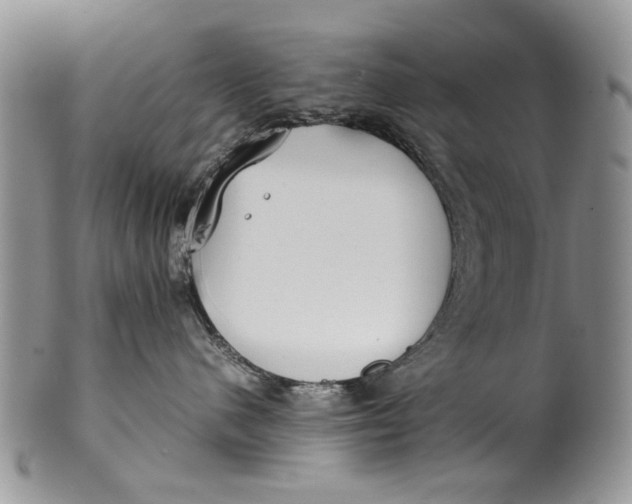 X0000099940480200806131429