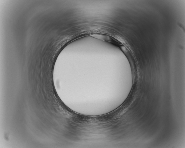 X0000099940481200806131429