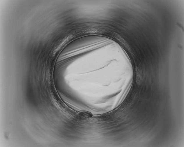 X0000099940482200806131429