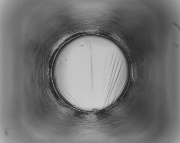 X0000099940483200806131429