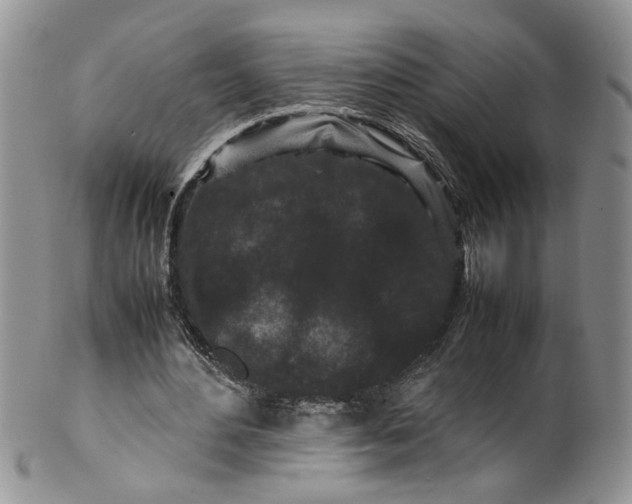 X0000099940484200806131429