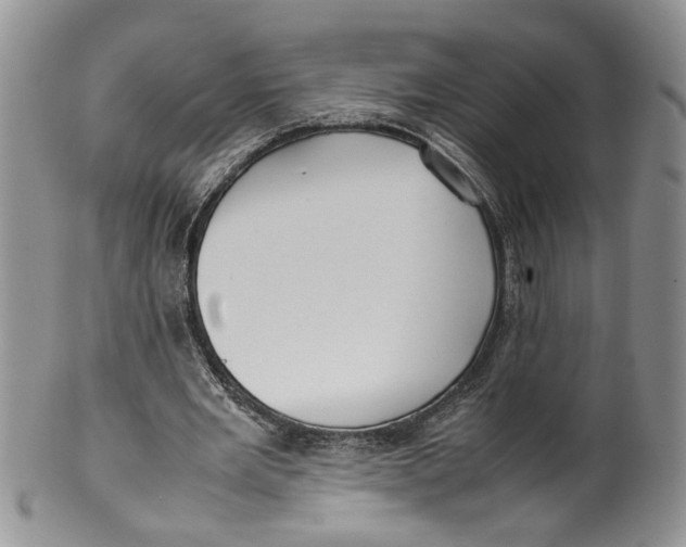 X0000099940485200806131429