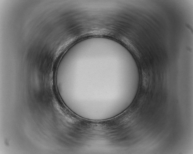 X0000099940486200806131428