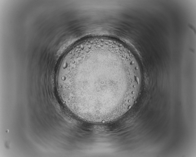 X0000099940487200806131428