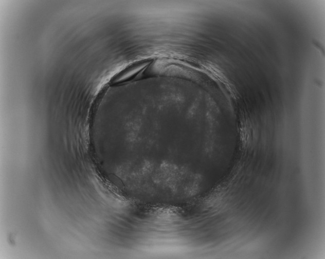 X0000099940488200806131428