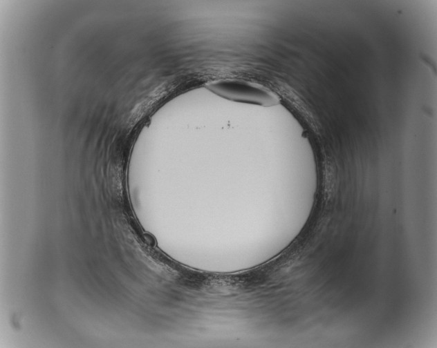 X0000099940489200806131428