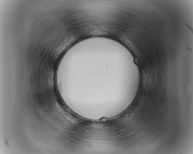 X0000099940490200806131428