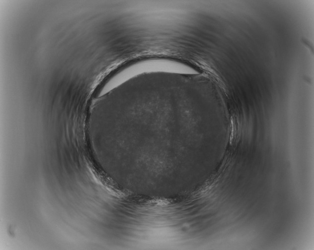 X0000099940492200806131428