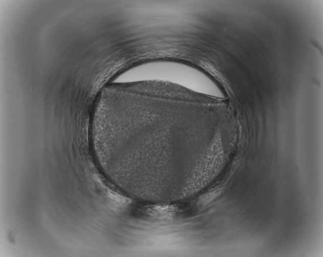 X0000099940493200806131428