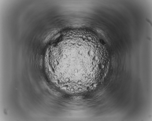 X0000099940495200806131428