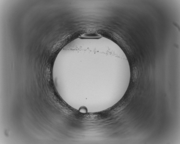 X0000099940497200806131428