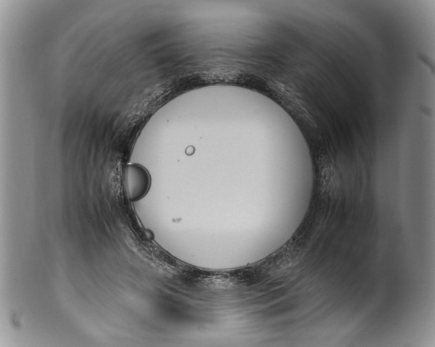 X0000099940498200806131428