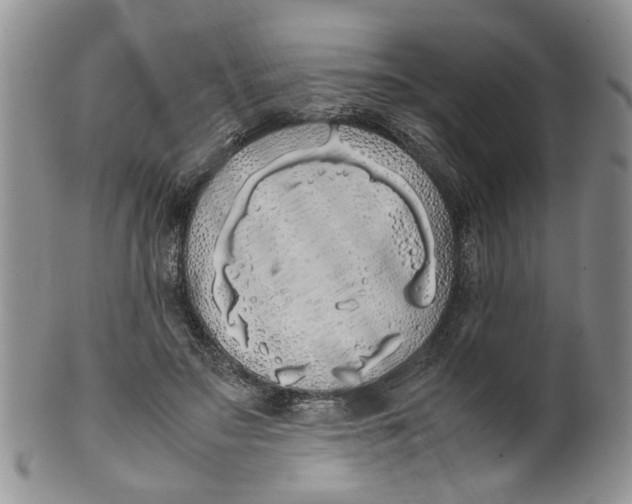 X0000099940499200806131428