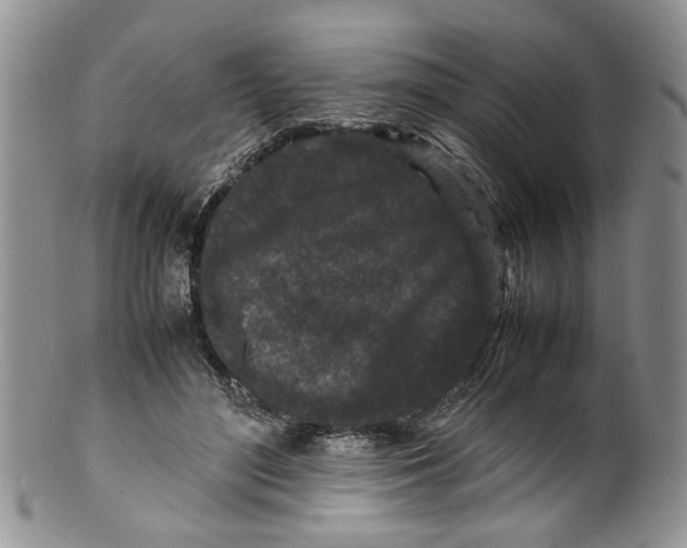 X0000099940500200806131428