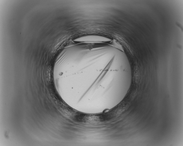 X0000099940501200806131428