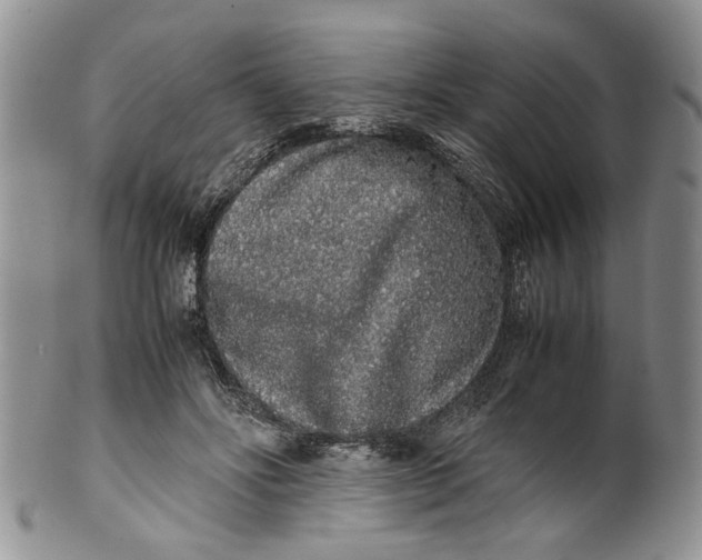 X0000099940502200806131428