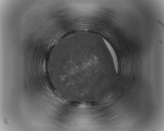 X0000099940504200806131428