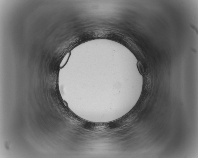 X0000099940505200806131428