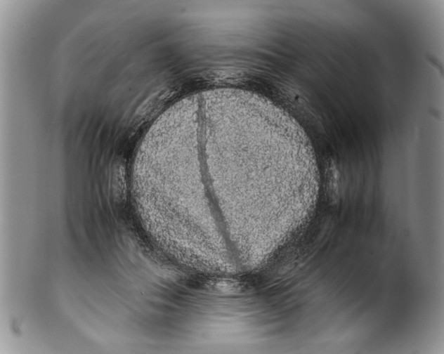 X0000099940506200806131428