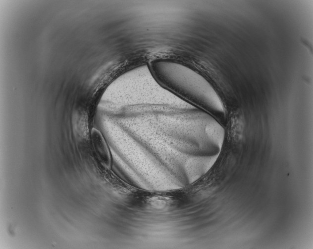 X0000099940508200806131428