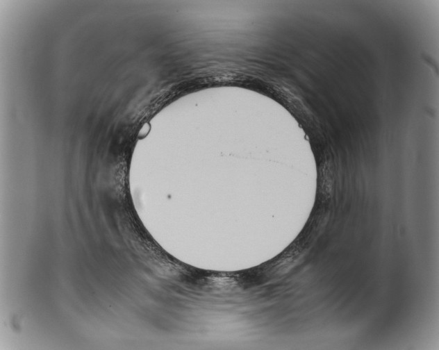 X0000099940509200806131428