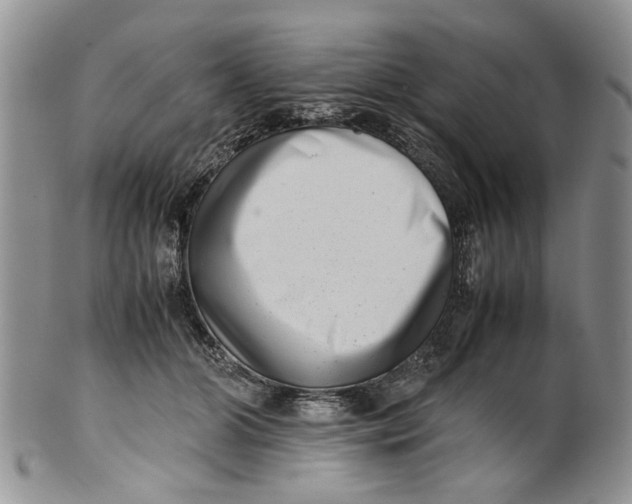 X0000099940510200806131428