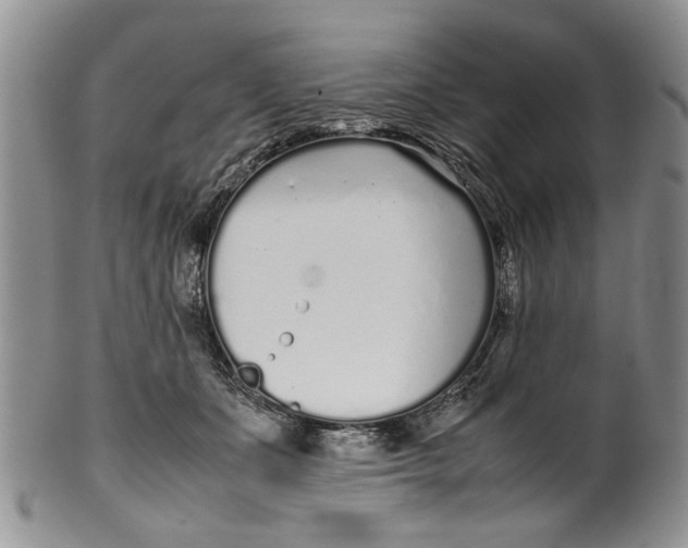 X0000099940511200806131428