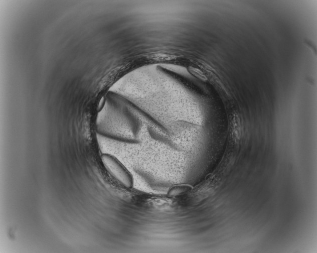 X0000099940512200806131428