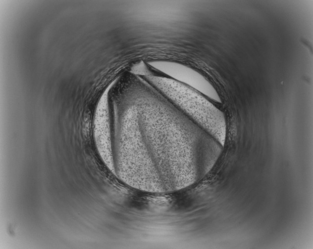 X0000099940513200806131428