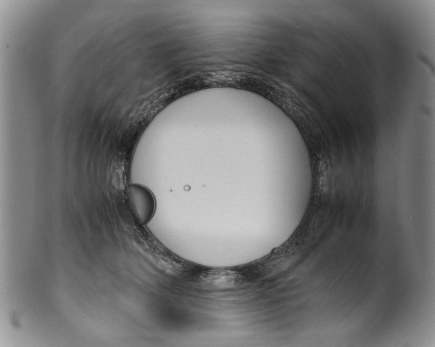 X0000099940514200806131428